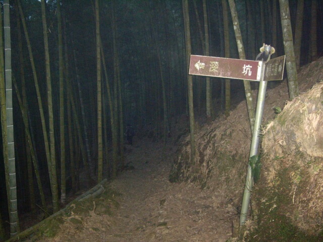 IMGP8956.JPG - 南投鹿谷樟空崙山、貓冬望山、大崙頭山、銀杏森林(羊彎上、下大石公)