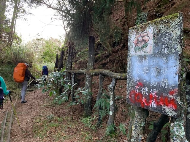 IMG_2373.JPG - 嘉義阿里山新阿溪縱走(DAY2－松山、眠月神木、水漾森林)