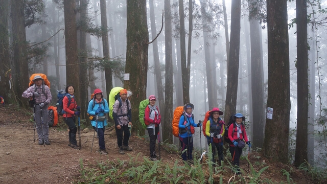 IMG_2464C.JPG - 嘉義阿里山新阿溪縱走(DAY2－松山、眠月神木、水漾森林)