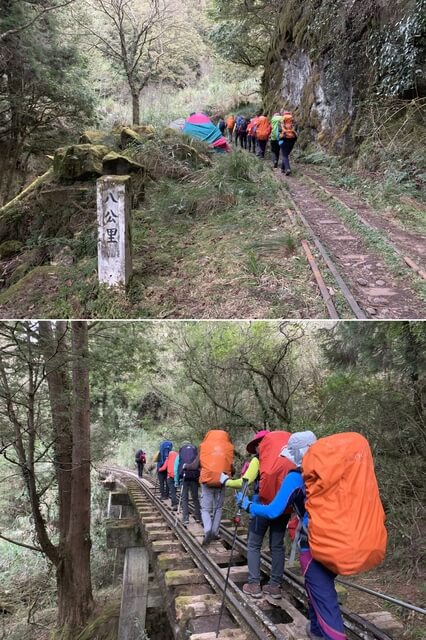 嘉義阿里山新阿溪縱走(DAY2－松山、眠月神木、水漾森林) 第24號橋樑