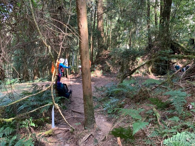 IMG_2444.JPG - 嘉義阿里山新阿溪縱走(DAY2－松山、眠月神木、水漾森林)