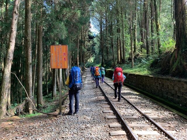 IMG_2290.JPG - 嘉義阿里山新阿溪縱走(DAY1－阿里山眠月線鐵路)