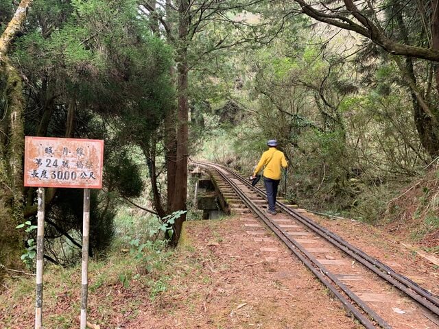 IMG_2334.JPG - 嘉義阿里山新阿溪縱走(DAY1－阿里山眠月線鐵路)