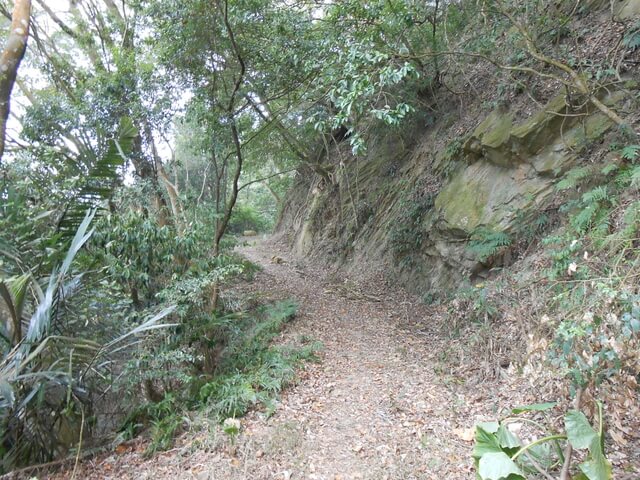 DSCN5305.JPG - 苗栗公館阿畢崎古道、沖庫山