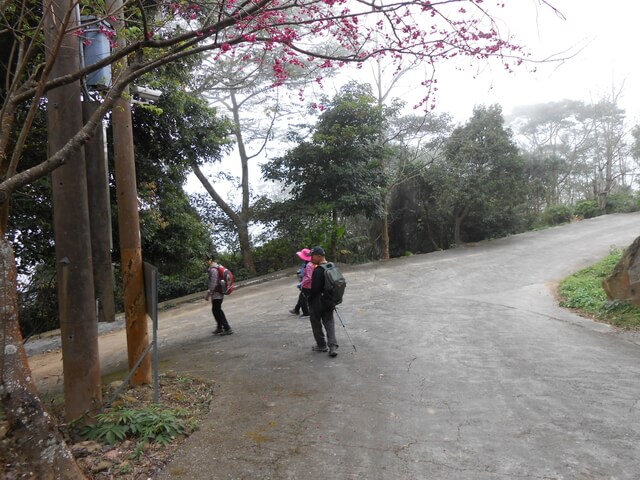 DSCN5329.JPG - 苗栗公館阿畢崎古道、沖庫山