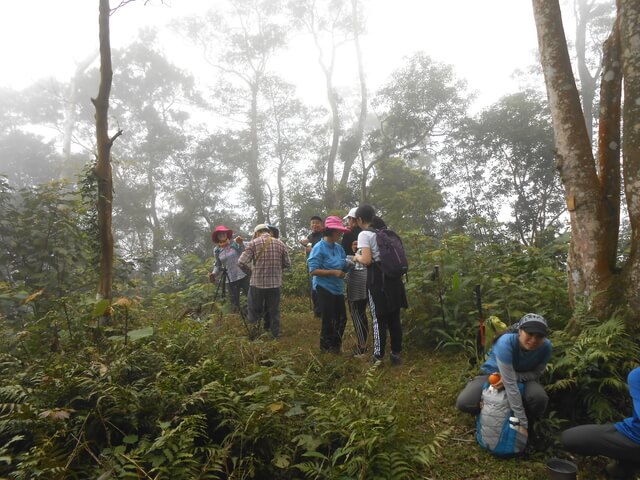 DSCN5322.JPG - 苗栗公館阿畢崎古道、沖庫山