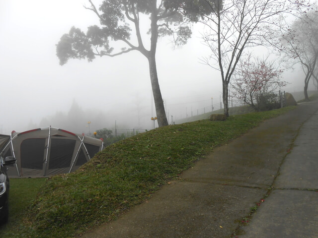 DSCN5318.JPG - 苗栗公館阿畢崎古道、沖庫山