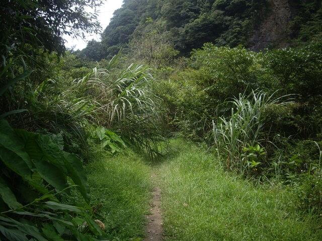 烏山古道、灣潭古道、北勢溪古道