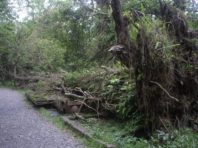 福山植物園