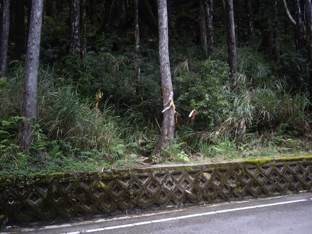 三星山登山口