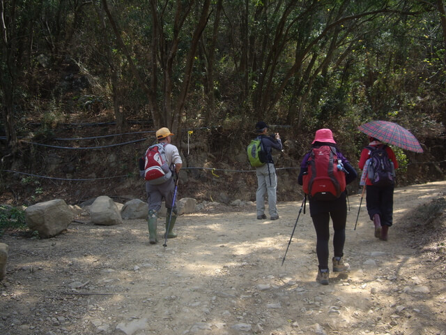 里龍山步道 左往龍峰寺