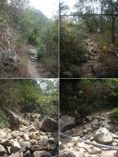 里龍山步道