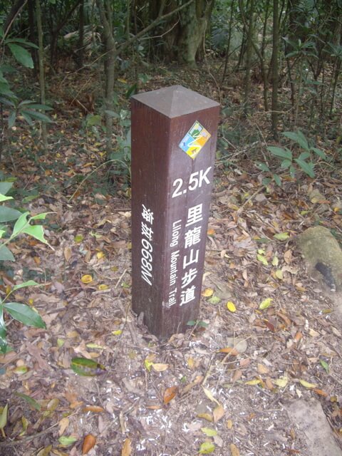 里龍山步道、里龍山