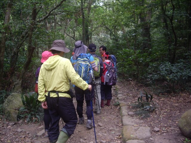 里龍山步道、里龍山