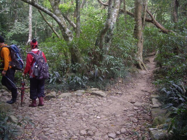 竹坑登山口