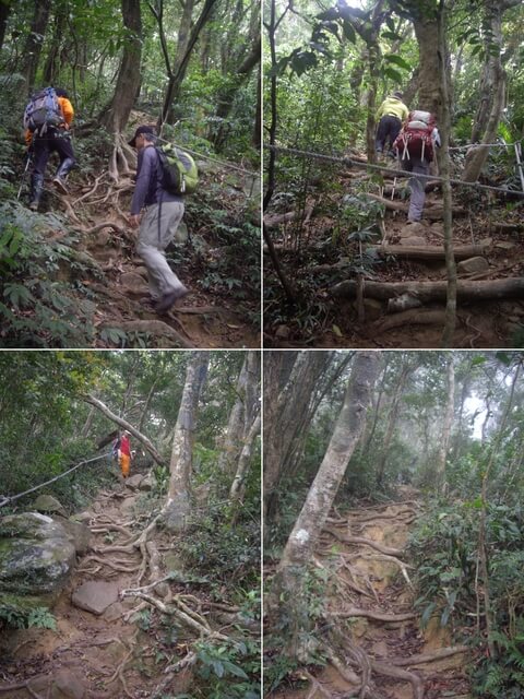 里龍山步道、里龍山