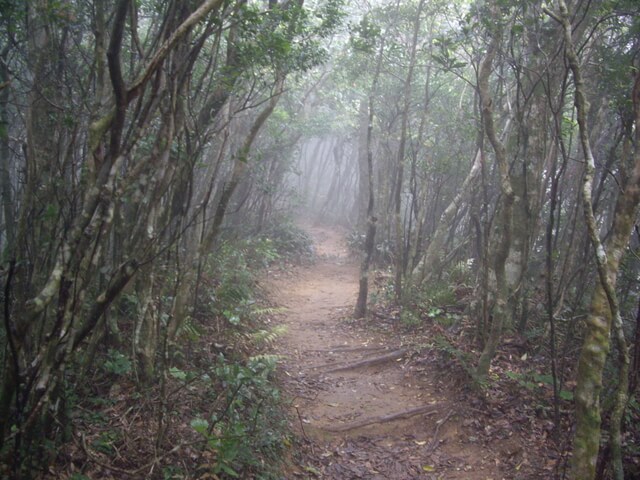 里龍山步道、里龍山