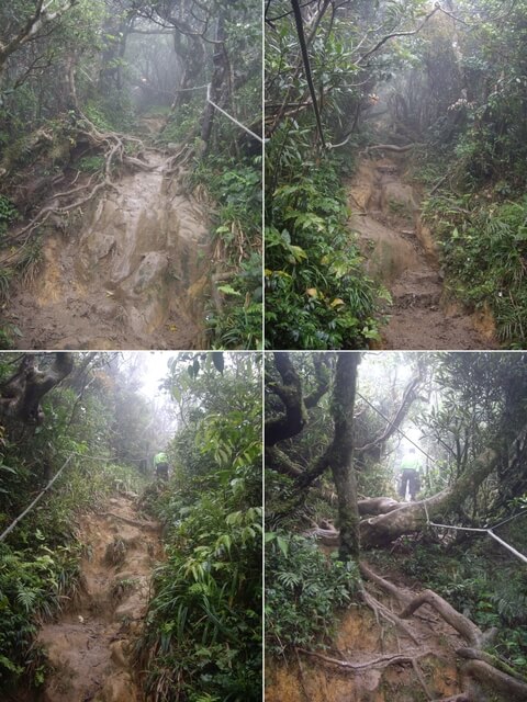 里龍山步道、里龍山