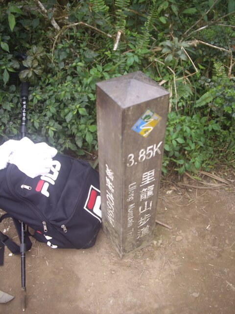 里龍山步道終點