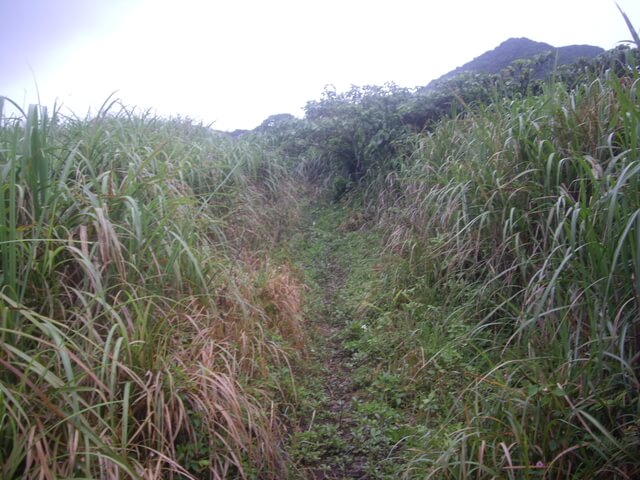 蘭嶼 紅頭山