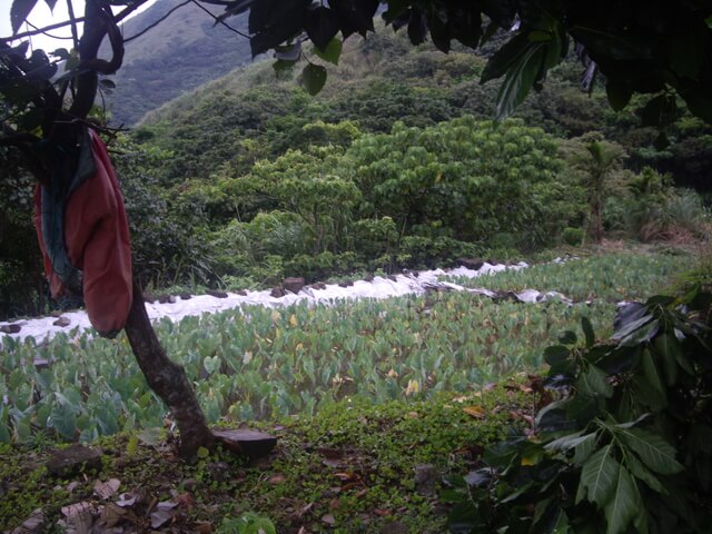 蘭嶼 紅頭山