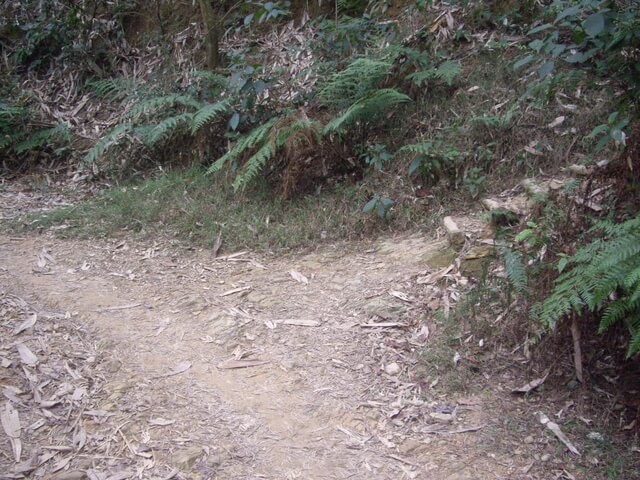 棚集下山、棚集山