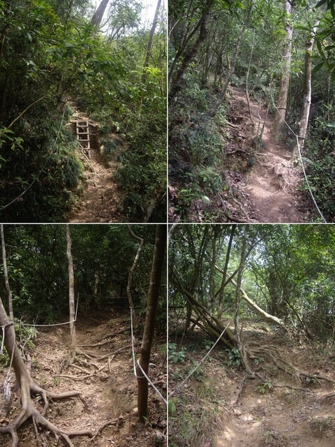 棚集下山、棚集山