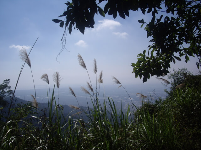 棚集山