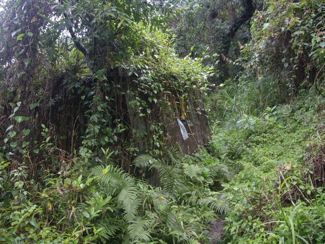 花蓮 八里灣山