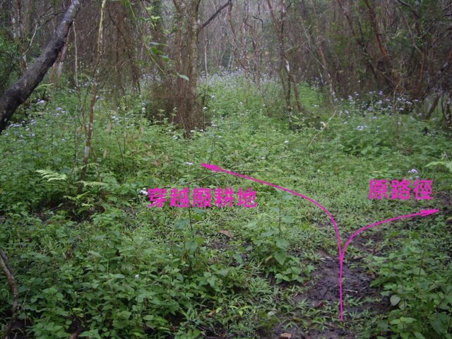 花蓮 八里灣山