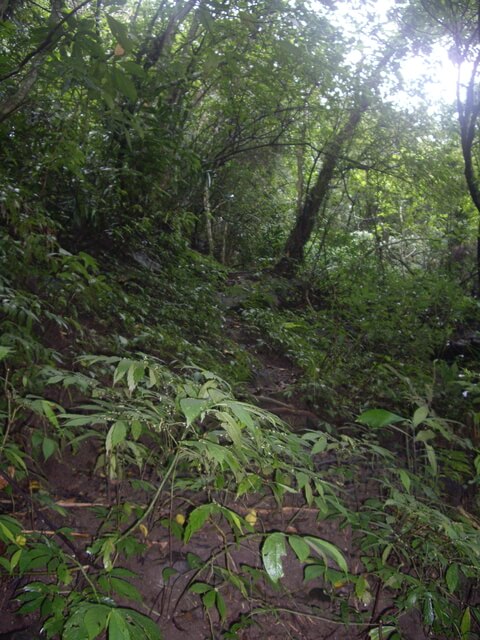 花蓮 八里灣山