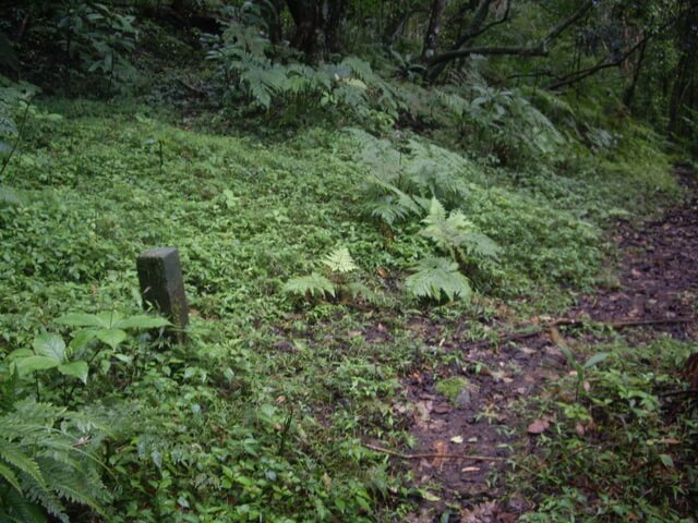 花蓮 八里灣山