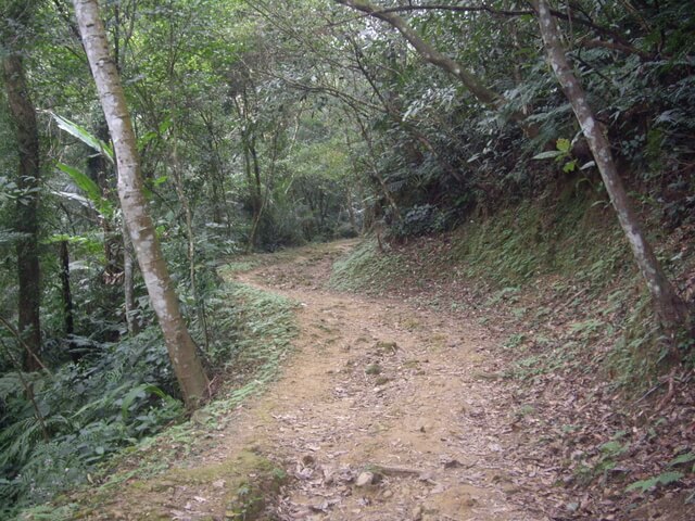 草嶺山