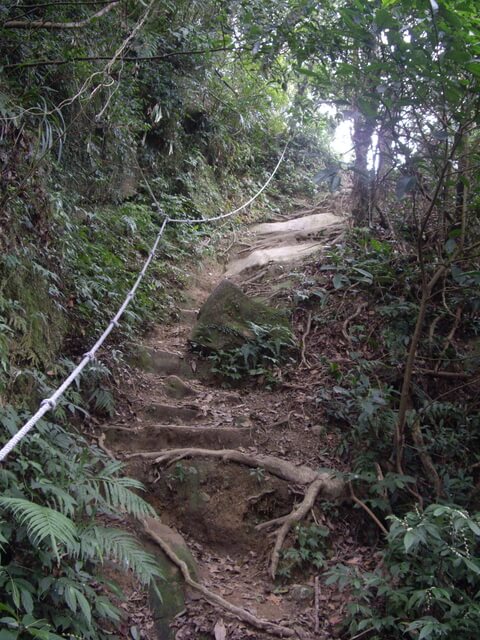 草嶺山