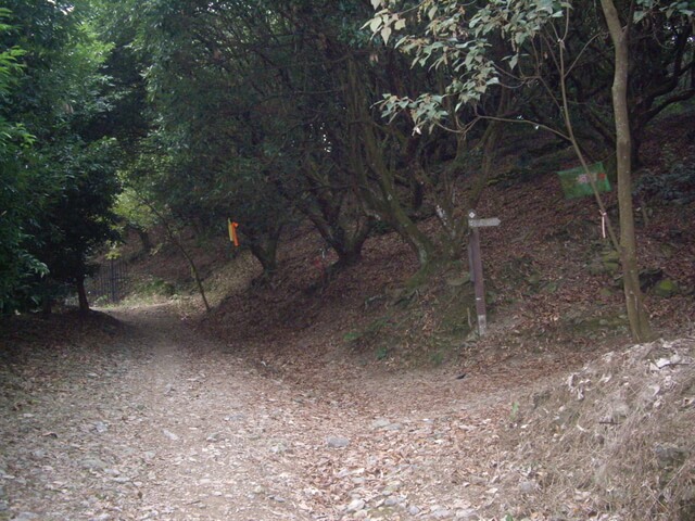 尾寮山西北峰、尾寮山