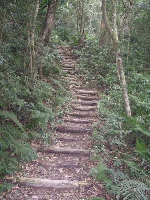 尾寮山西北峰、尾寮山