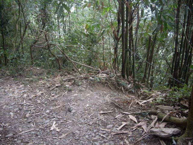 尾寮山西北峰、尾寮山