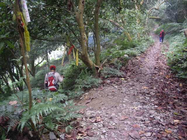 尾寮山西北峰、尾寮山