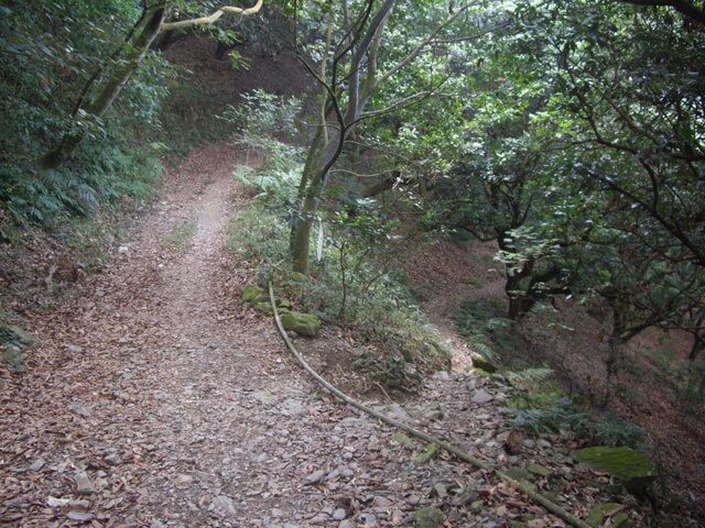 尾寮山西北峰、尾寮山