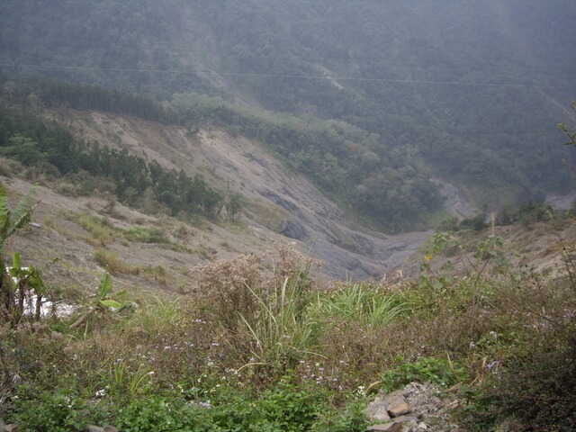 東藤枝山