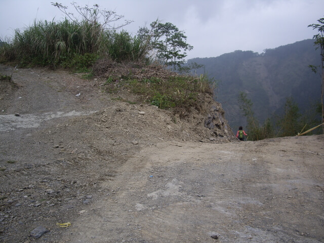 東藤枝山