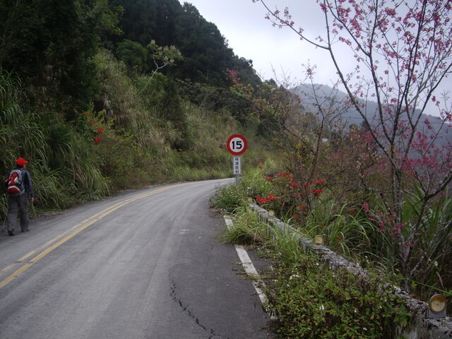 東藤枝山