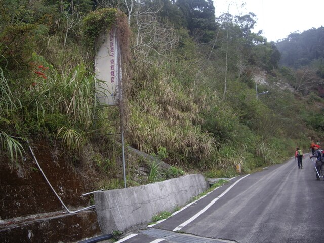 東藤枝山