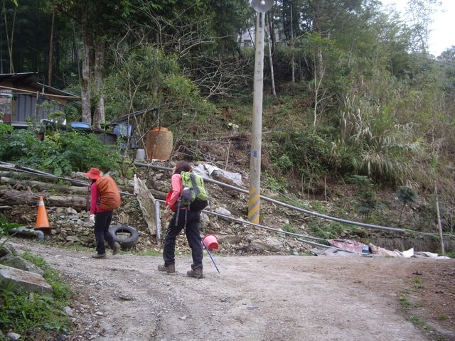 東藤枝山