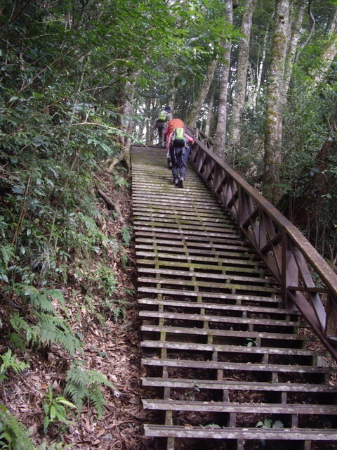 東藤枝山