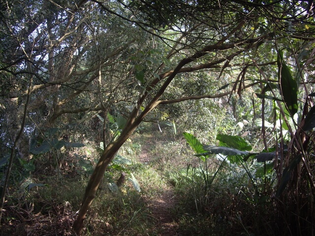 烏山嶺(刣牛湖山)