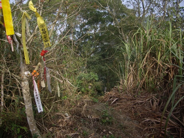 烏山嶺(刣牛湖山)