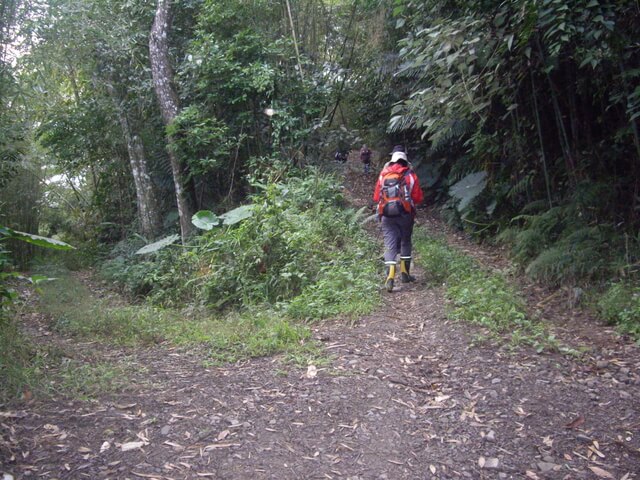 西阿里關山