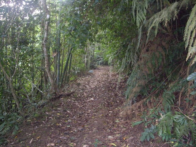 西阿里關山