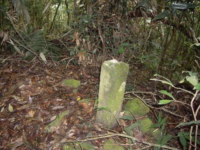 網子山、鳴海下山、鳴海山